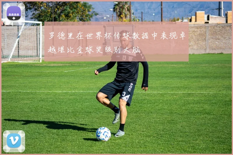 罗德里在世界杯传球数据中表现卓越堪比金球奖级别大脑