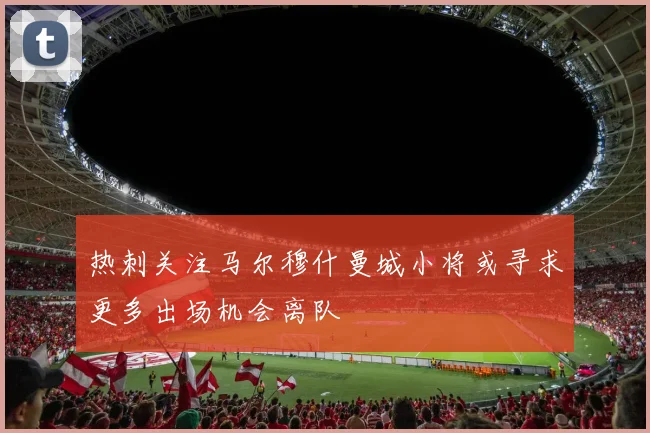 热刺关注马尔穆什曼城小将或寻求更多出场机会离队